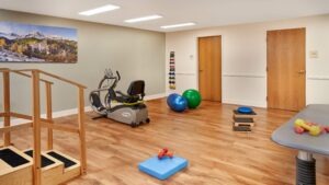 Therapy and rehabilitation gym
